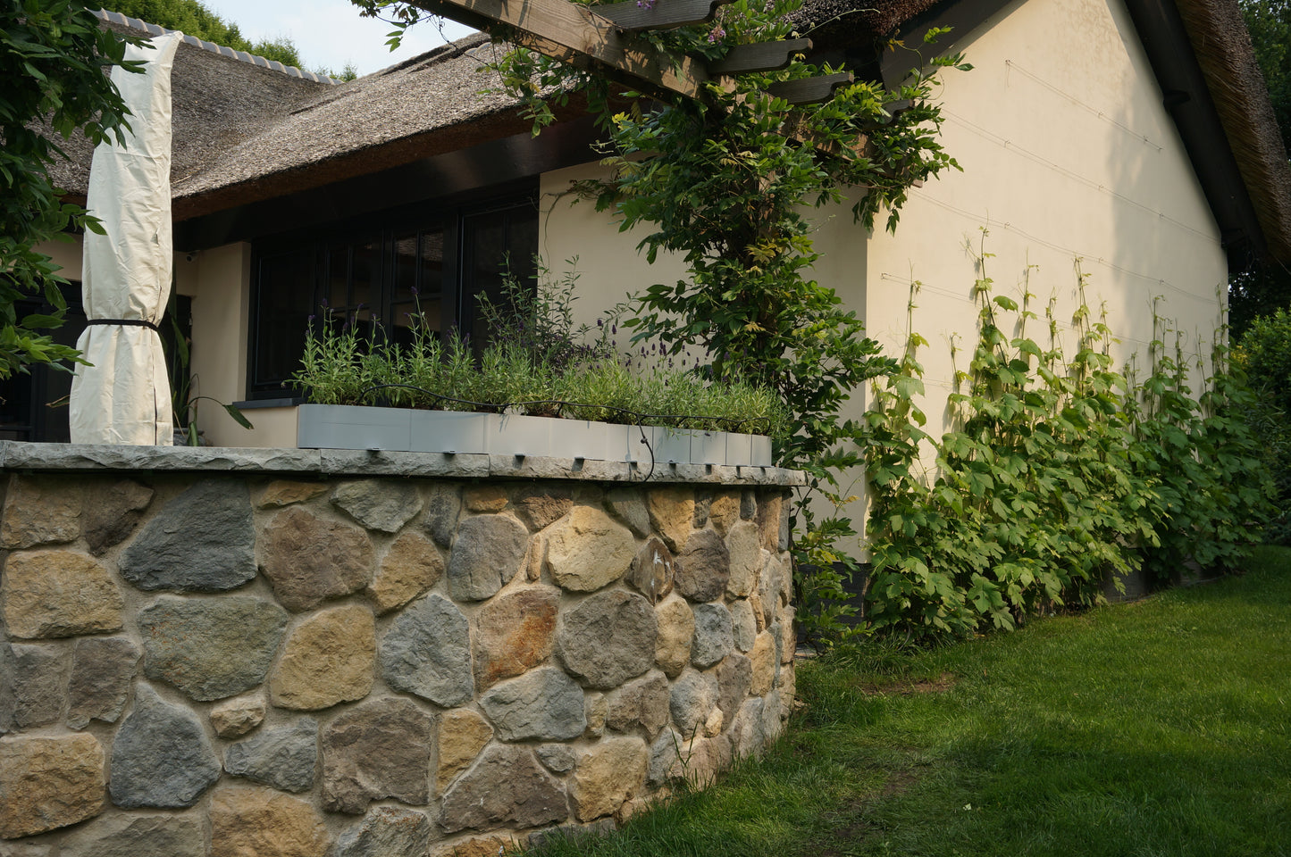 Planter Infinity – Modern Flowerpot for Timeless Greenery