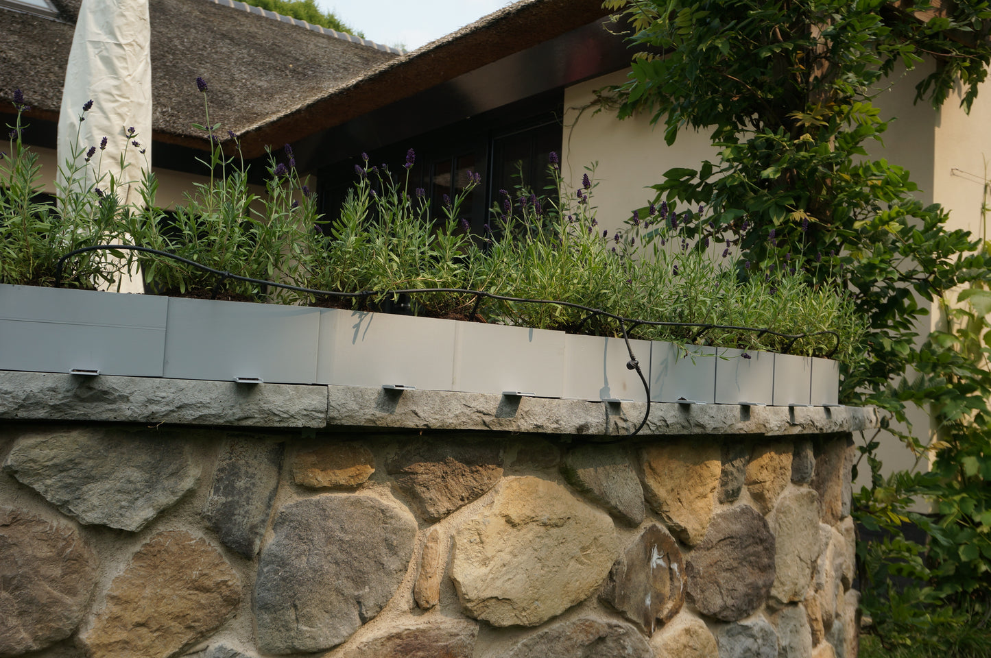 Planter Infinity – Modern Flowerpot for Timeless Greenery