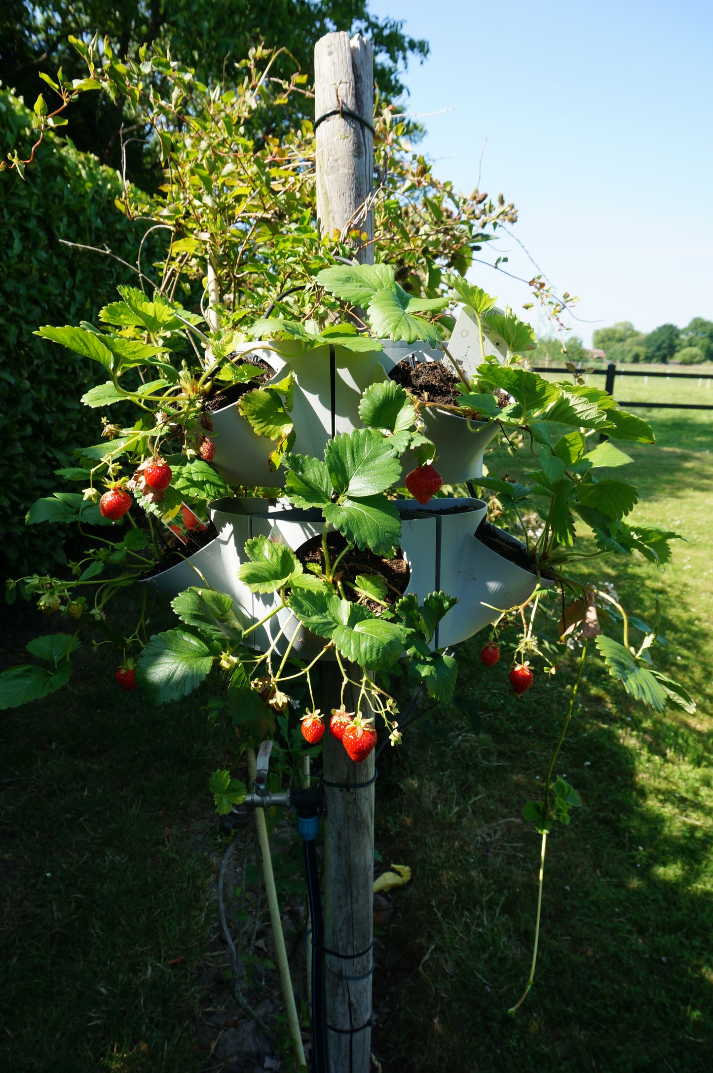 VitaVerti Planter – Versatile Vertical Planter for Urban Gardens