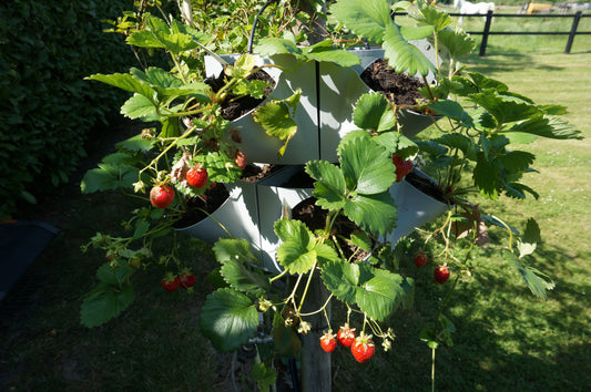 VitaVerti Planter – Versatile Vertical Planter for Urban Gardens