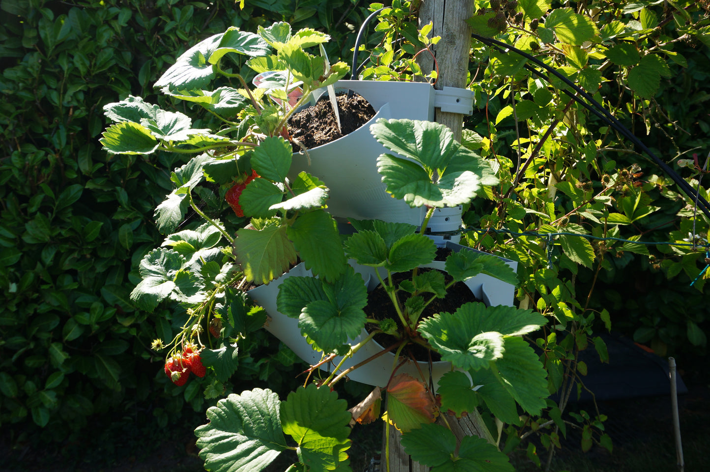 VitaVerti Planter – Versatile Vertical Planter for Urban Gardens