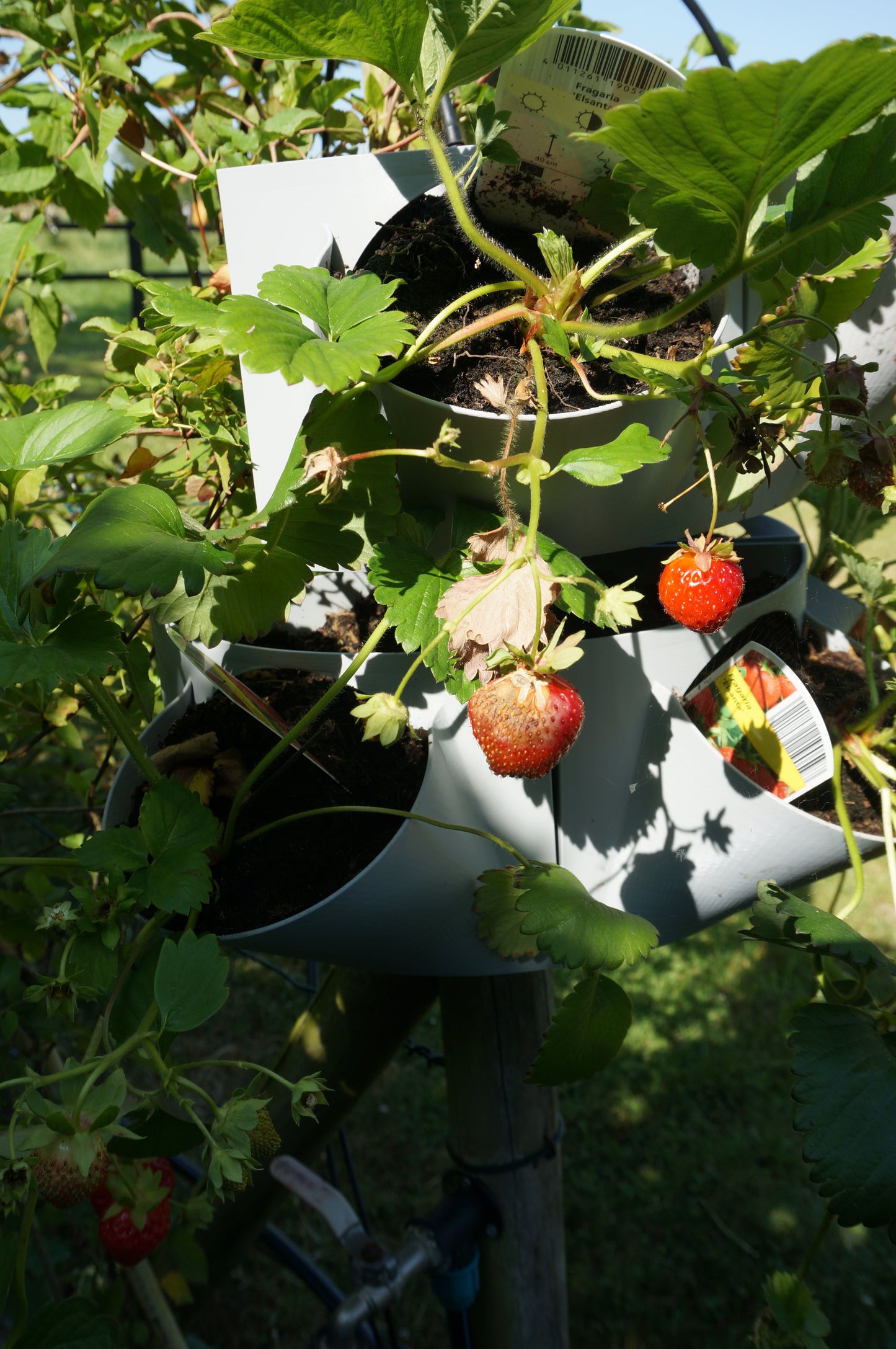 VitaVerti Planter – Versatile Vertical Planter for Urban Gardens